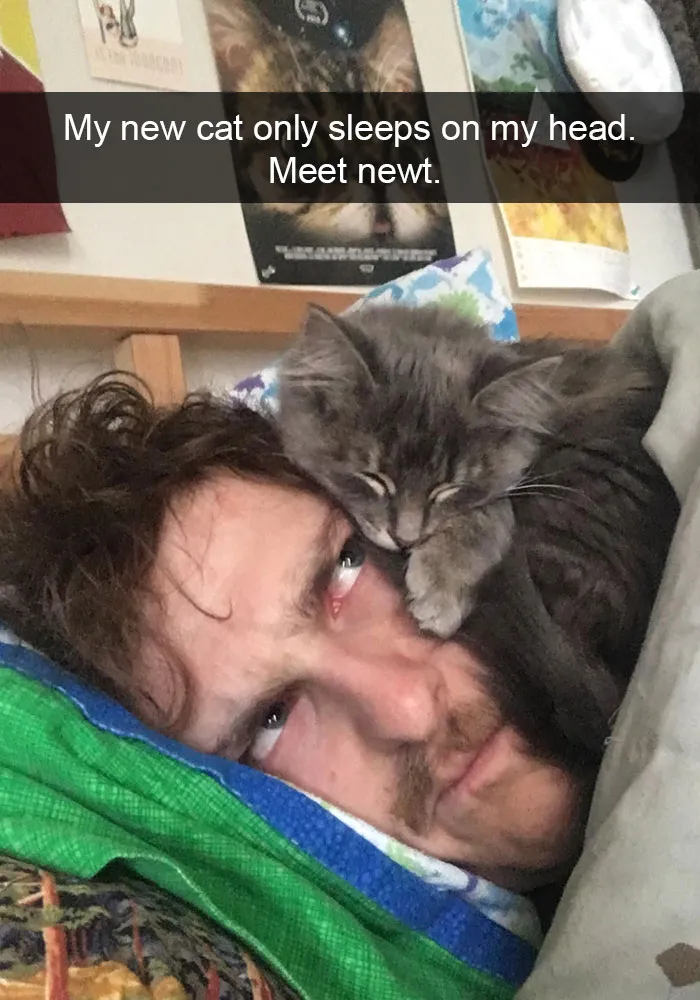 124 Hilarious Cat Snapchats That Are Im-paw-sible Not To Laugh At