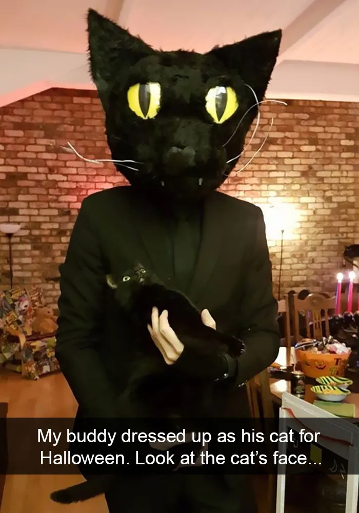 124 Hilarious Cat Snapchats That Are Im-paw-sible Not To Laugh At