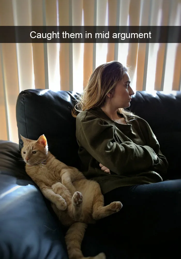 128 Hilarious Cat Snapchats That Are Im-paw-sible Not To Laugh At