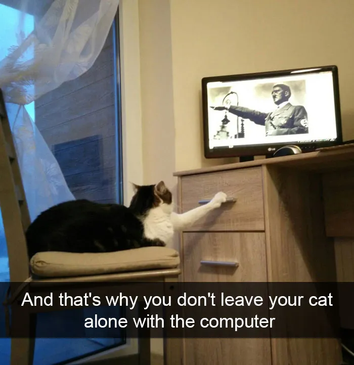 124 Hilarious Cat Snapchats That Are Im-paw-sible Not To Laugh At