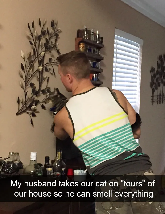 124 Hilarious Cat Snapchats That Are Im-paw-sible Not To Laugh At