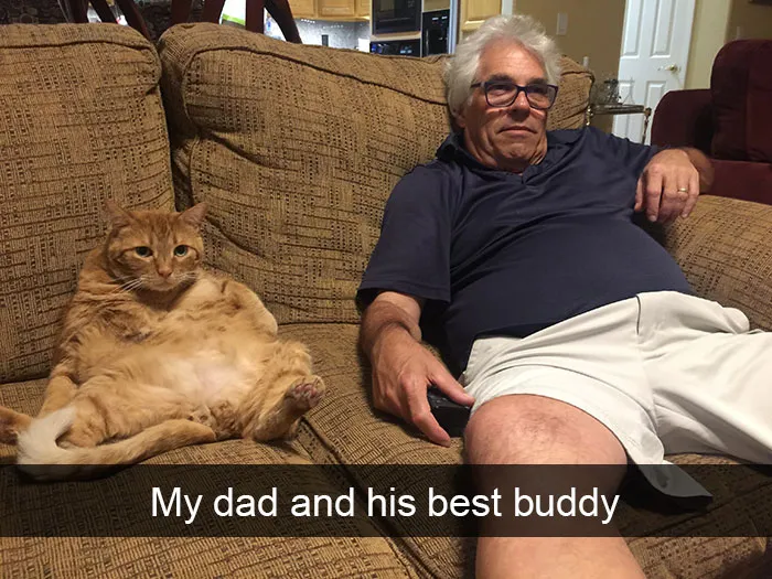 124 Hilarious Cat Snapchats That Are Im-paw-sible Not To Laugh At