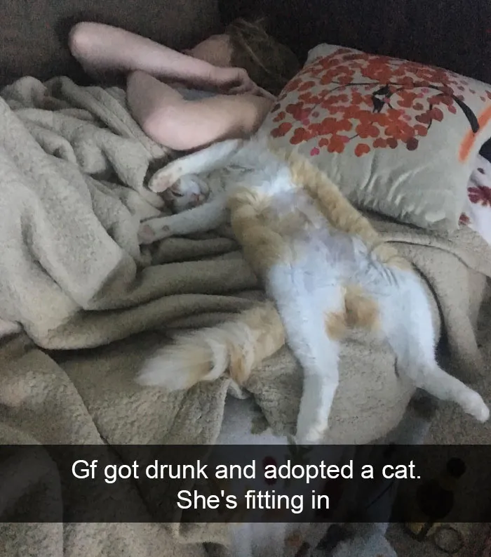 124 Hilarious Cat Snapchats That Are Im-paw-sible Not To Laugh At