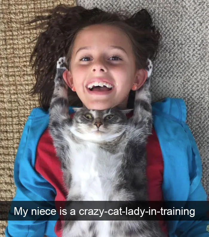 124 Hilarious Cat Snapchats That Are Im-paw-sible Not To Laugh At