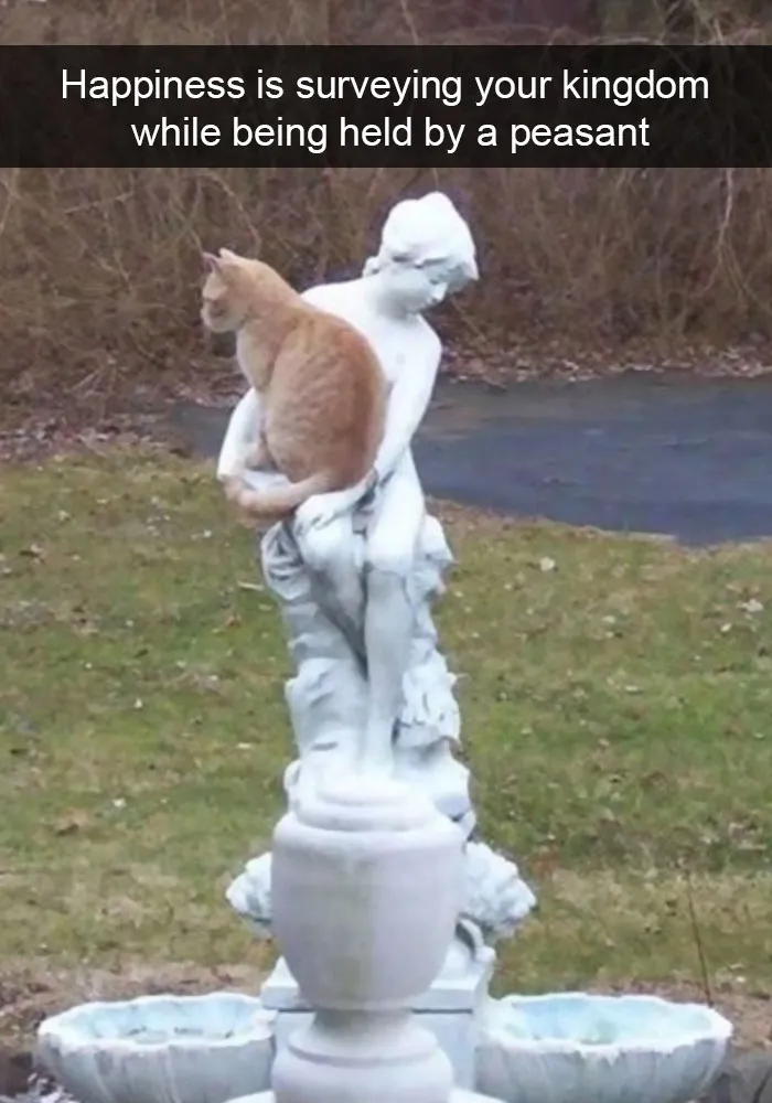 124 Hilarious Cat Snapchats That Are Im-paw-sible Not To Laugh At