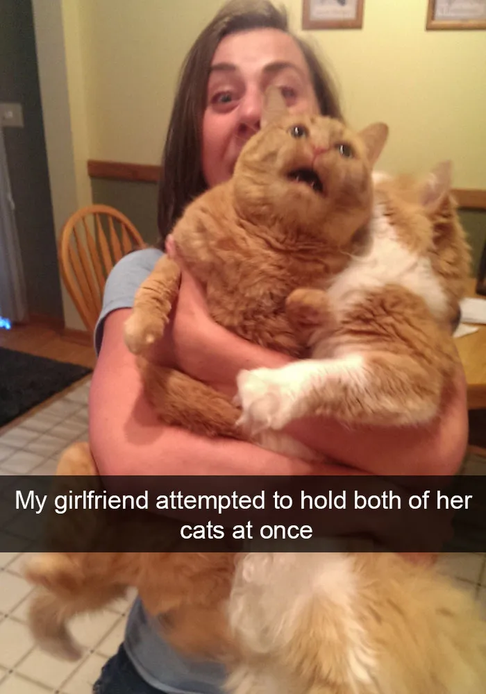124 Hilarious Cat Snapchats That Are Im-paw-sible Not To Laugh At