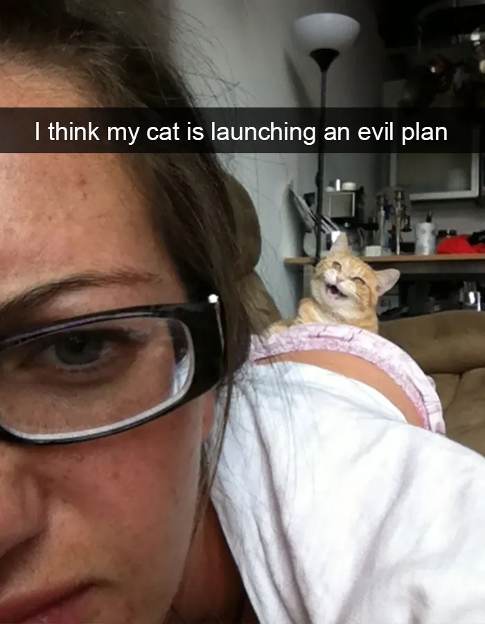 124 Hilarious Cat Snapchats That Are Im-paw-sible Not To Laugh At