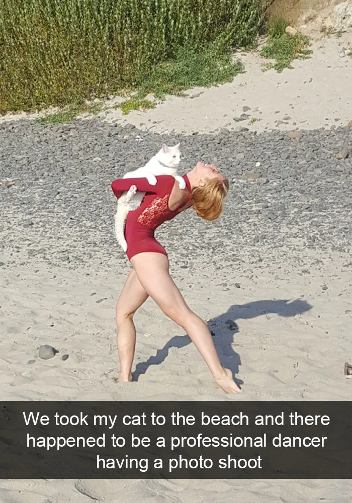 124 Hilarious Cat Snapchats That Are Im-paw-sible Not To Laugh At