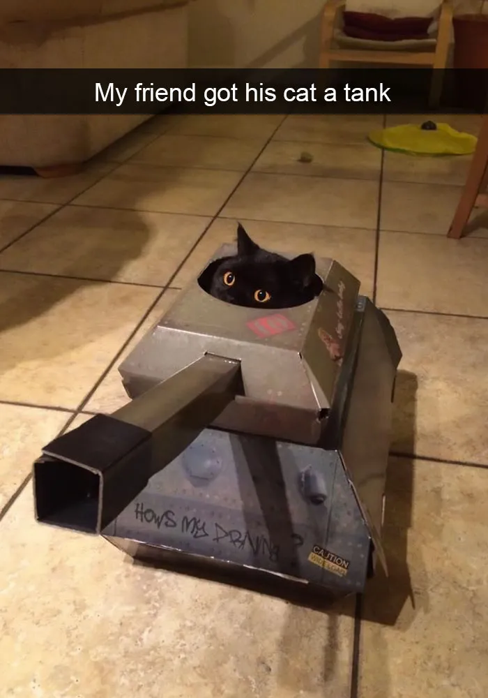 124 Hilarious Cat Snapchats That Are Im-paw-sible Not To Laugh At