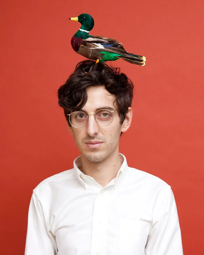 In Minnessota A Person May Not Cross State Lines With A Bird Atop His Head