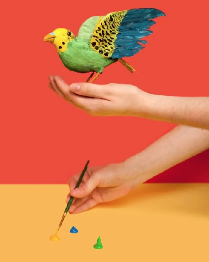 In Michigan It's Illegal To Paint Sparrows To Sell Them As Parakeets