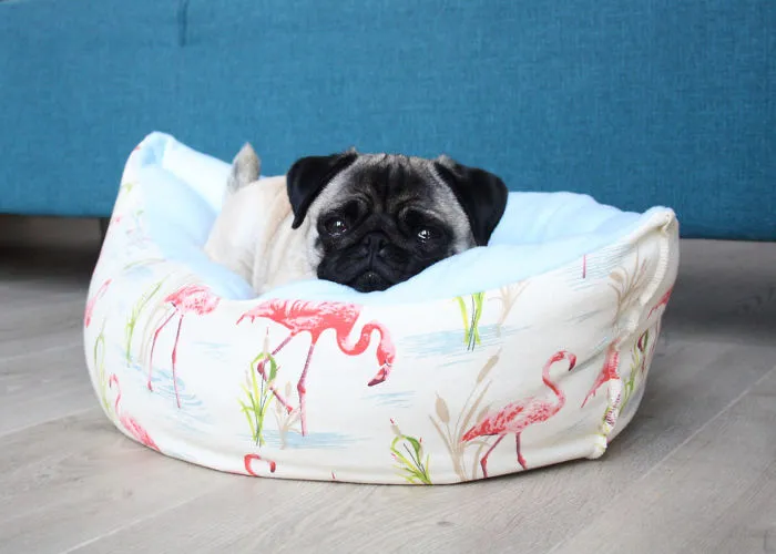 These Pugs Have The Hardest Job