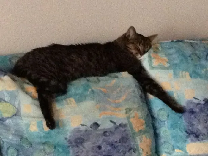 My Lazy Boy!