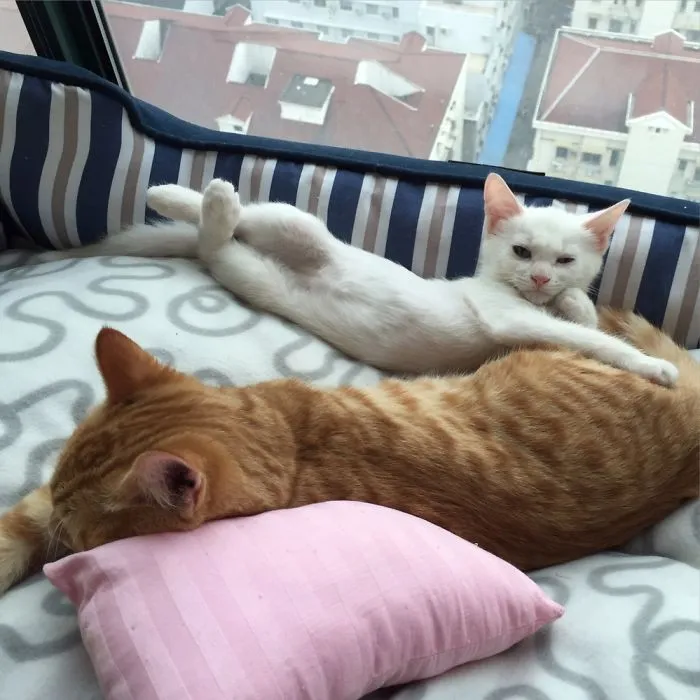Sup?