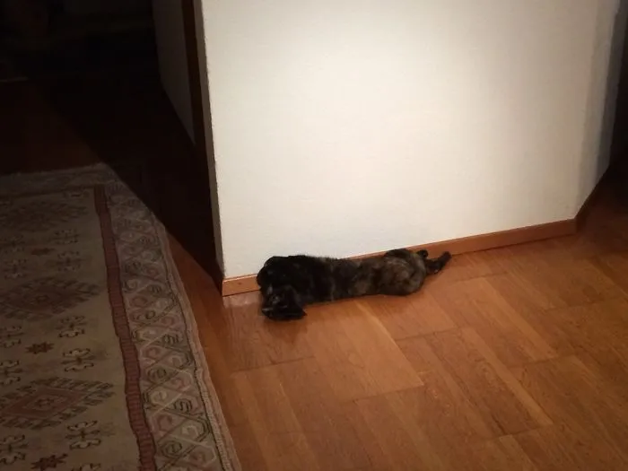 I Don't Know Why She Is Doing That