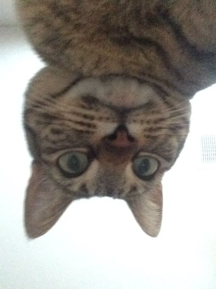 Fell Asleep With My Phone Next To Me And I Woke Up To This On My Camera Roll