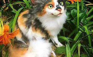 Cat Art Helping Real Cats Get A Second Chance