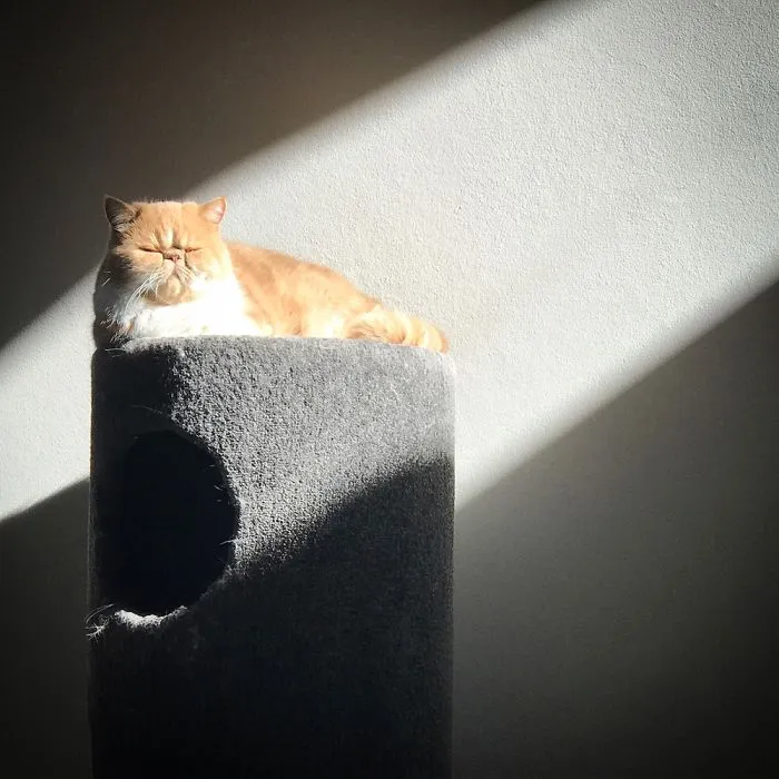 My Little Sun Beam