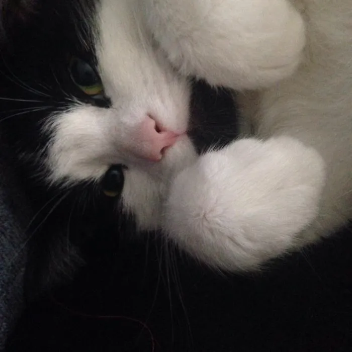 Pose For The Camera
