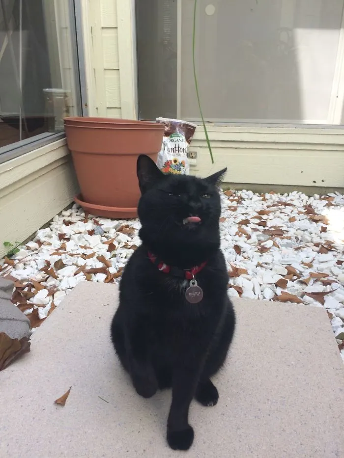 What Is This Face??