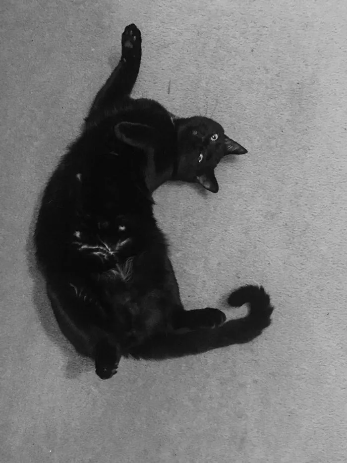 Weirdo