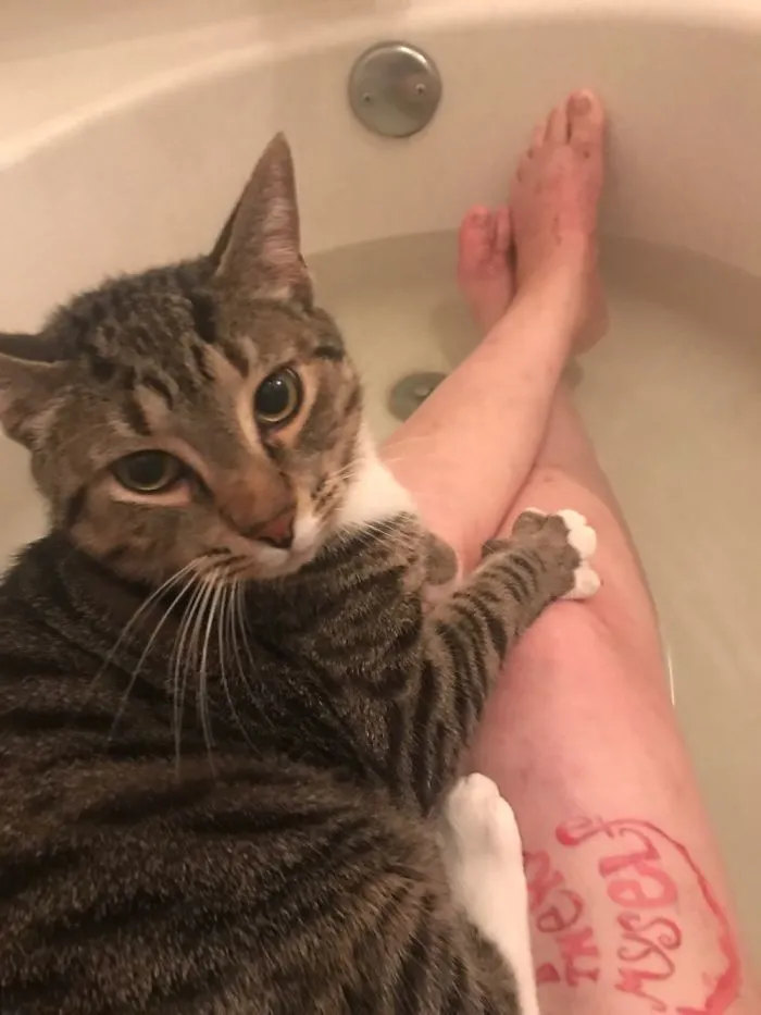 This Is Biscuit. He Hates Getting Baths. But He Loves To Get In The Tub With Me. Cat Logic??