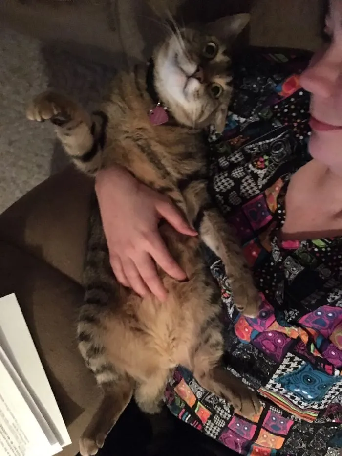 Say Cheese!
