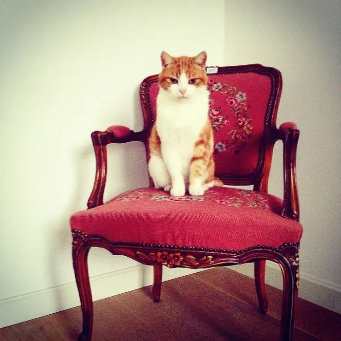 King