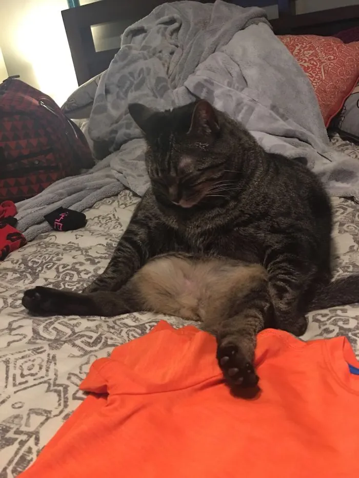 Her Preferred Method Of Lounging.