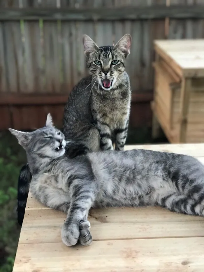 Do We Have To Take Another Picture?