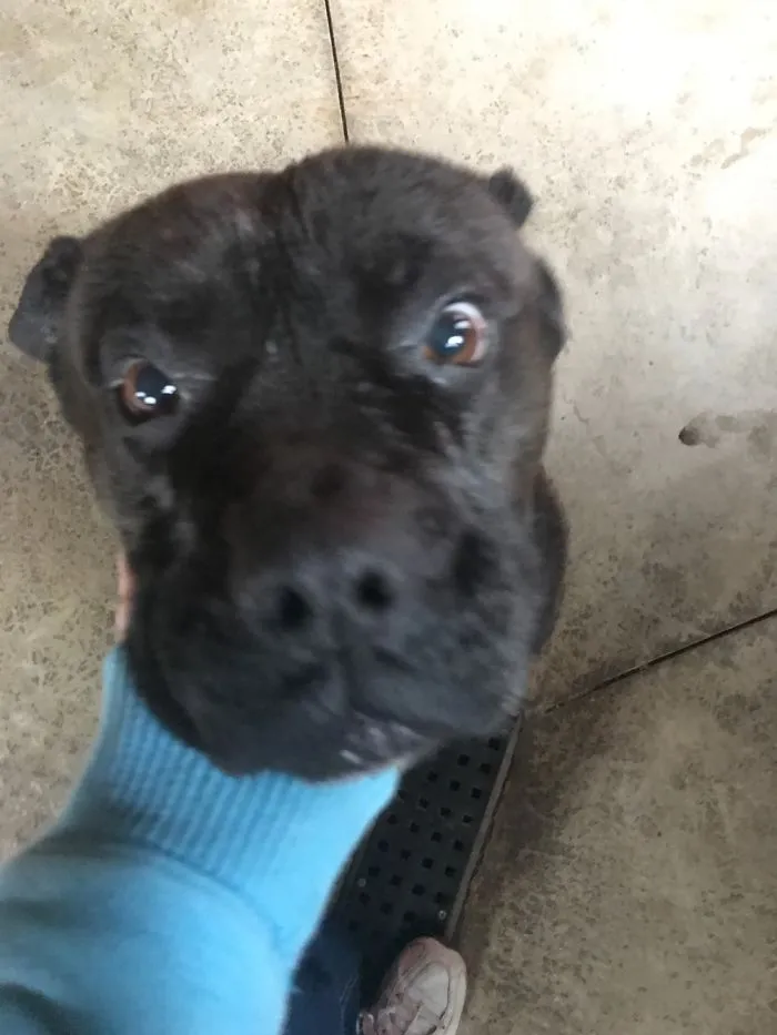 If I Don't Bribe Her To Sit She Jumps At The Camera