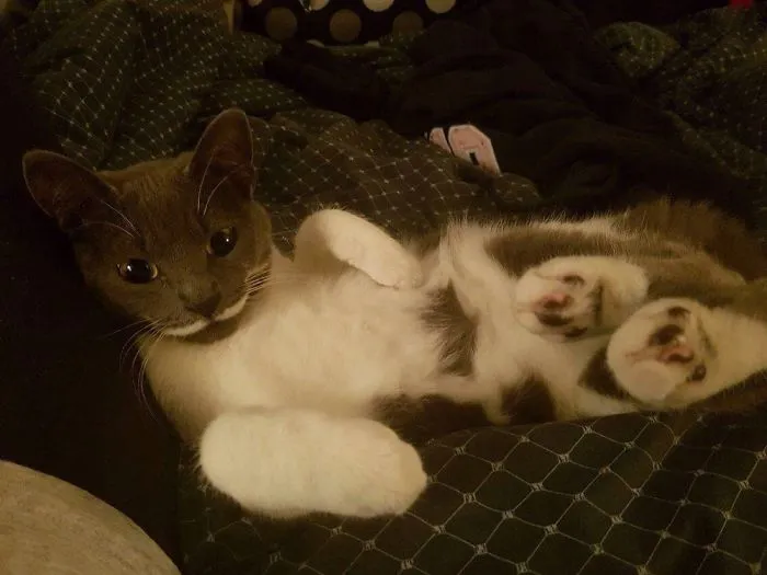Draw Me Like One Of Your French Girls