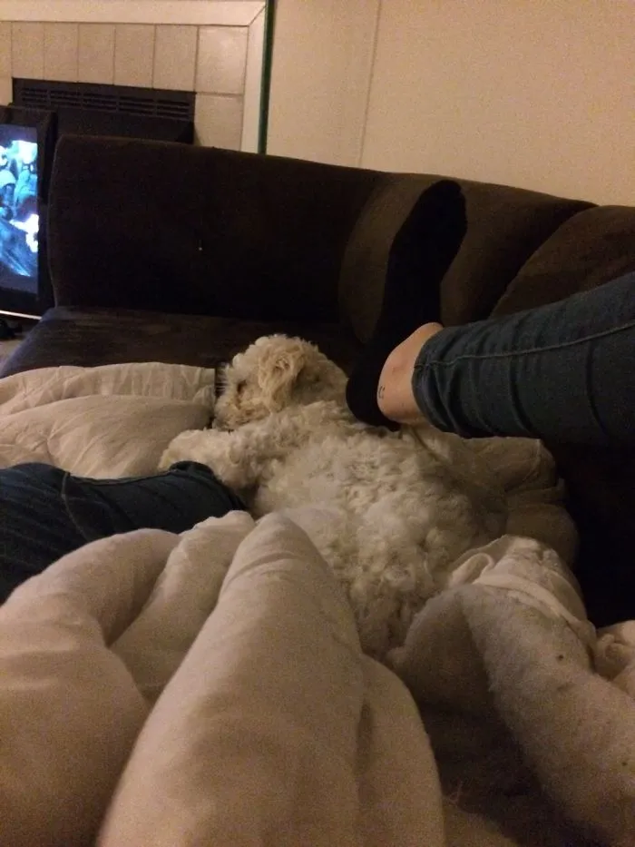 She Likes To Spoon My Foot