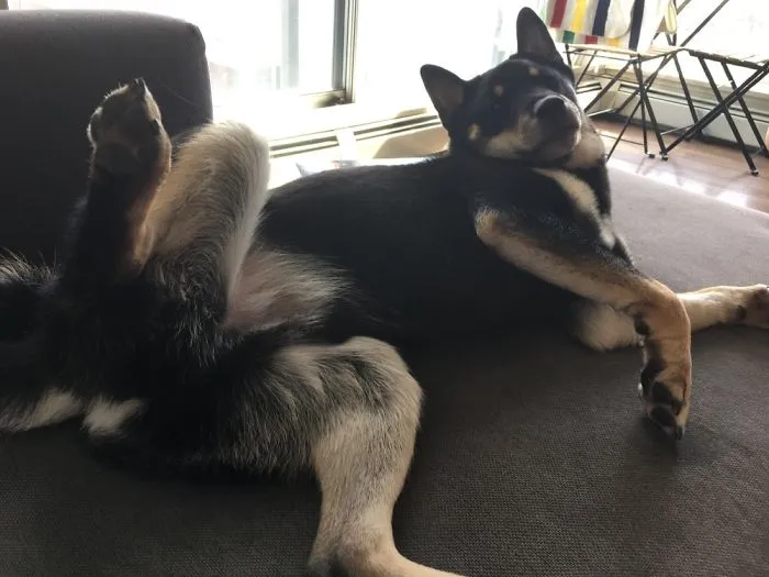 Oh Hi There!