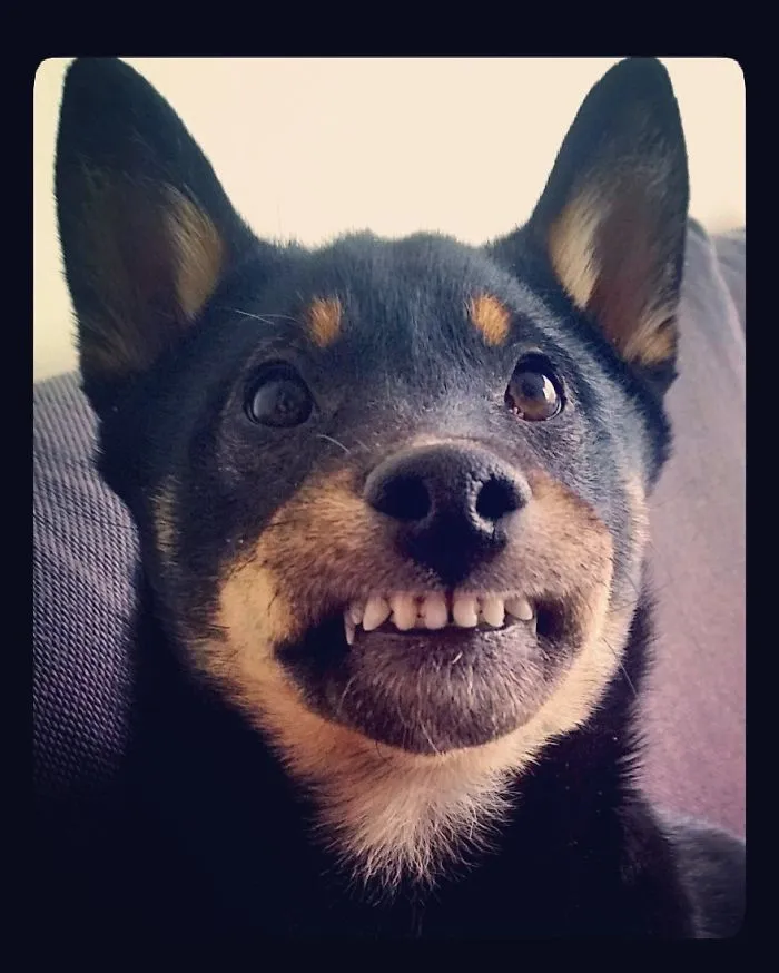 Smile!