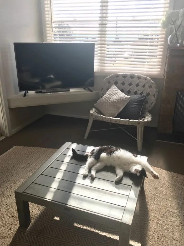 Charlotte Loves The Sun And The Table !!!
