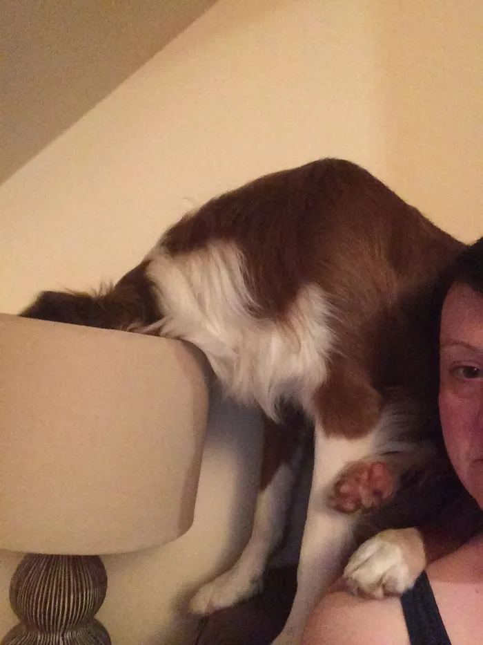 Bob In His Typical Resting Position, Sitting On My Shoulder With His Head In The Lamp