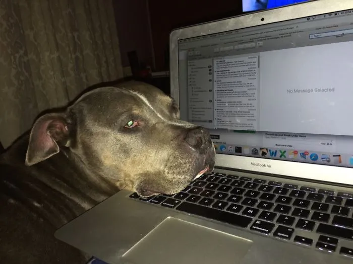 You Don't Mind If I Rest My Head Here Right?