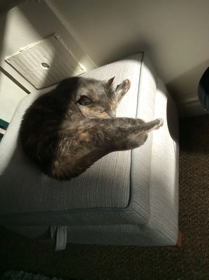 Sui In The Sun.