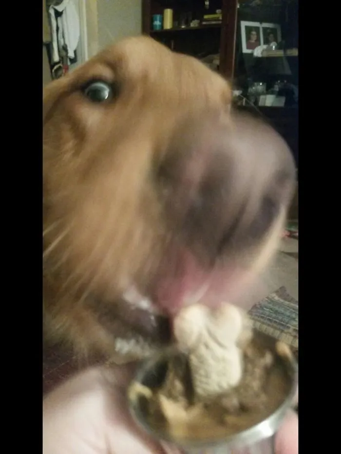 Must Have Food!!!