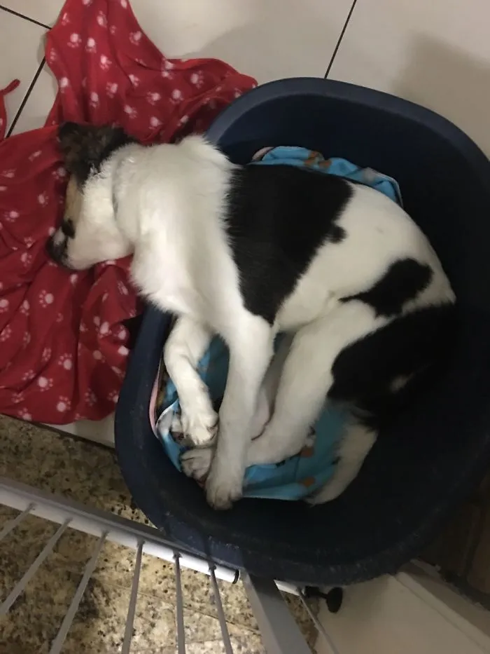 Minha Cama Encolheu Um Pouco.