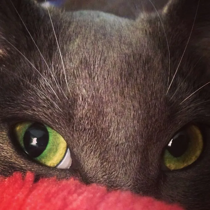 Here's Lookin' At You!