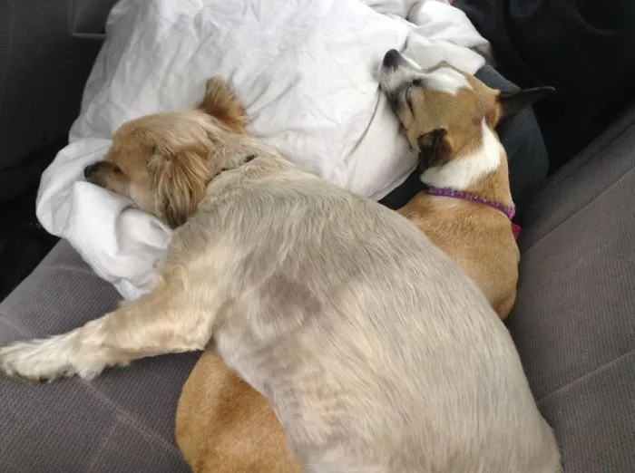 There Wasn't Enough Room On The Seat...