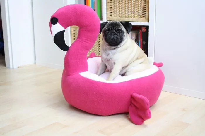 These Pugs Have The Hardest Job