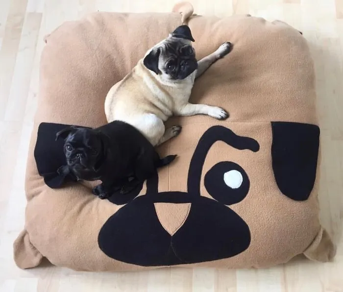 These Pugs Have The Hardest Job