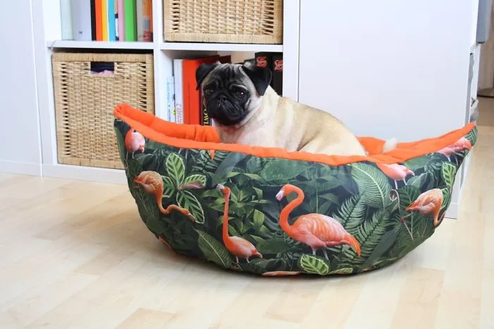These Pugs Have The Hardest Job