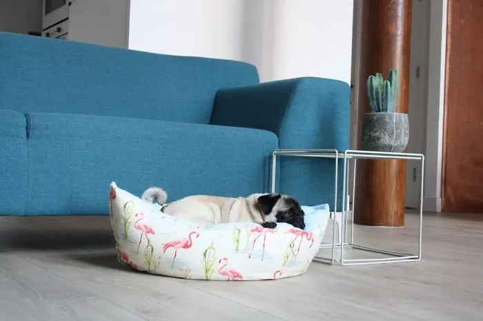 These Pugs Have The Hardest Job
