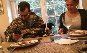 236 Times Pets Were Caught Red-Handed