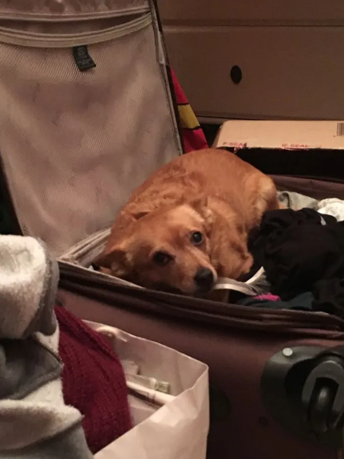 She Snuck Into My Room And Hid