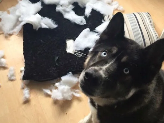 Who Me?